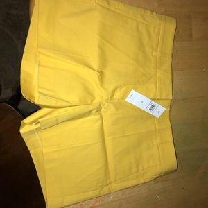 Ann Taylor city shorts